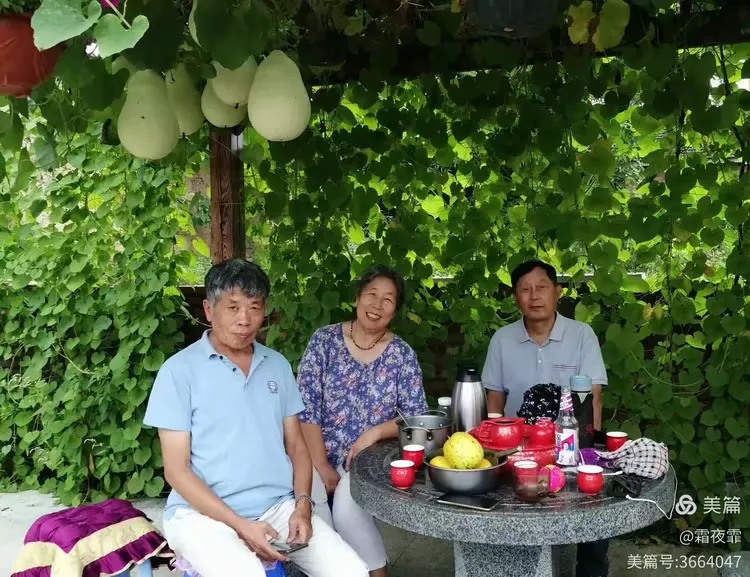 绿意浓浓庄稼院